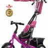 Велосипед Rich Toys Lexus Trike Classic (2012) 