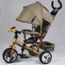 Трехколесный велосипед Street Trike A03A