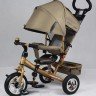 Трехколесный велосипед Street Trike A03B