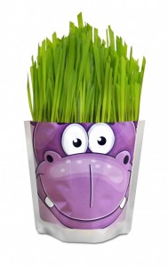 Happy Plant Сафари Бегемот