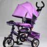 Трехколесный велосипед Street Trike  A03E