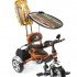 Велосипед Rich Toys Lexus Trike Original Grand (2012)