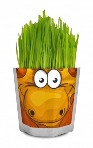 Happy Plant Сафари Жираф