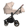 Коляска 2 в 1 CARRELLO Epica CRL-8510/1