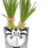 Happy Plant Сафари Зебра