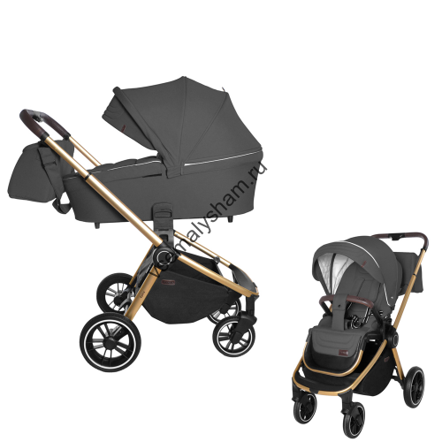 Коляска 2 в 1 CARRELLO Epica CRL-8510