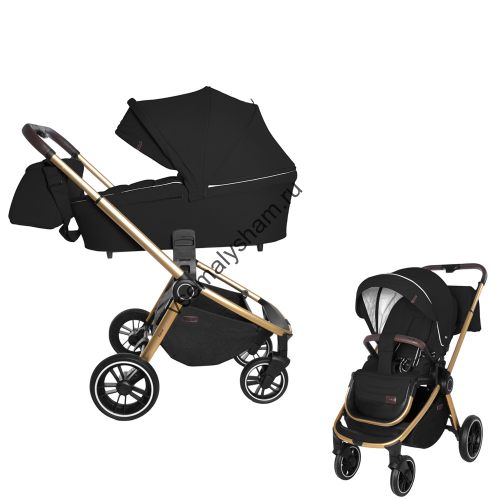 Коляска 2 в 1 CARRELLO Epica CRL-8510