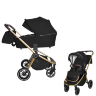 Коляска 2 в 1 CARRELLO Epica CRL-8510
