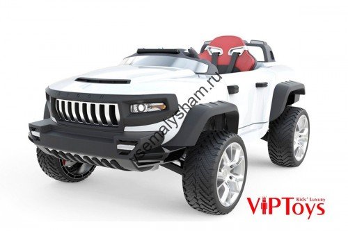 Электромобиль Vip Toys HENES BROON T870