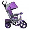 Трехколесный велосипед Street Trike LJ-A32